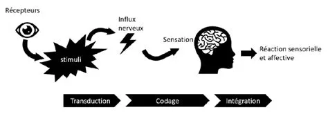  L'Effet Désir: Un Jeu Énigmatique de Perception et d'Ambition